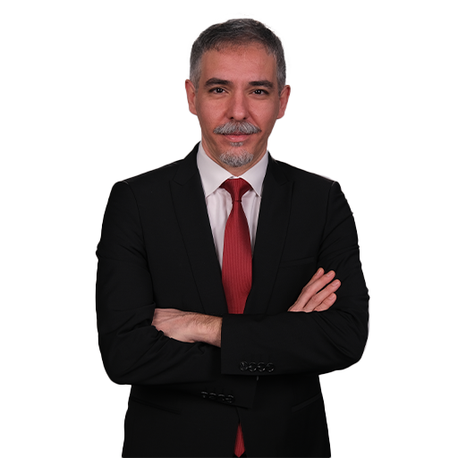 Can SOYLU
